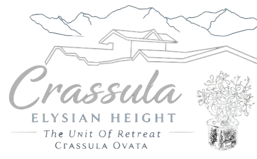 Crassula Elysian Height Logo