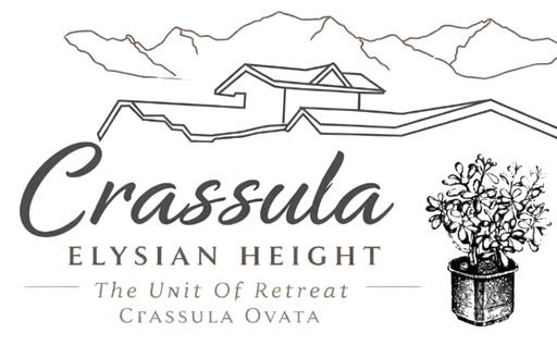 Crassula Elysian Height Logo